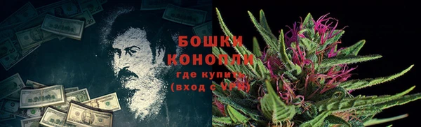 ГАЛЛЮЦИНОГЕННЫЕ ГРИБЫ Бородино