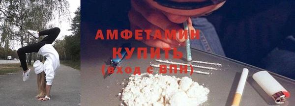 ГАЛЛЮЦИНОГЕННЫЕ ГРИБЫ Бородино