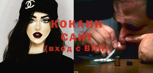 ГАЛЛЮЦИНОГЕННЫЕ ГРИБЫ Бородино