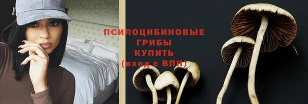 ГАЛЛЮЦИНОГЕННЫЕ ГРИБЫ Бородино