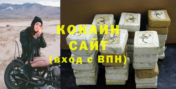 ГАЛЛЮЦИНОГЕННЫЕ ГРИБЫ Бородино