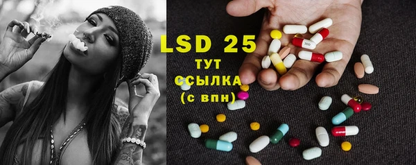 ГАЛЛЮЦИНОГЕННЫЕ ГРИБЫ Бородино