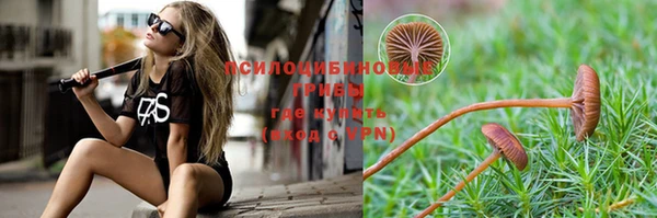 ГАЛЛЮЦИНОГЕННЫЕ ГРИБЫ Бородино